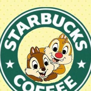 Meet your Posher, Dorothy